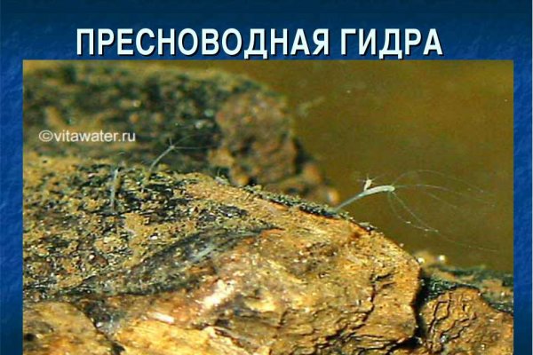 Кракен ссылка тупа германия